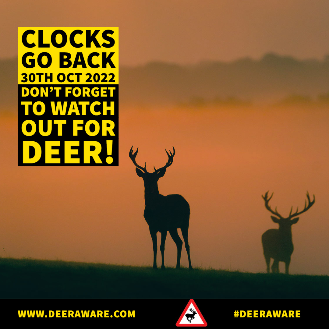Deer_Aware's tweet photo. The clocks will go back on 30 October at 2 am; this results in more cars on the road at peak times for deer activity. Please be extra careful from sunset to midnight and the hours shortly before and after sunrise.
#deeraware #roadsafety #clockgoback #autumn #deer #wildlife https://t.co/XqyMSxmy8j