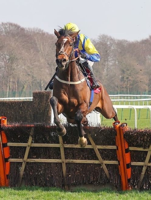 money_rider's tweet photo. As mentioned earlier there's the #CharlieHallChase on Sat but we also have a fav of mine #FlicOuVoyou running again @3:30 for @PFNicholls, @CobdenHarry booked

&amp; @Danmcmenamin1 is hunting a win on favourite &amp; consistent #Parisencore for @NGRichardsRace @WetherbyRaces today @2:20 https://t.co/NovyLGJn6R