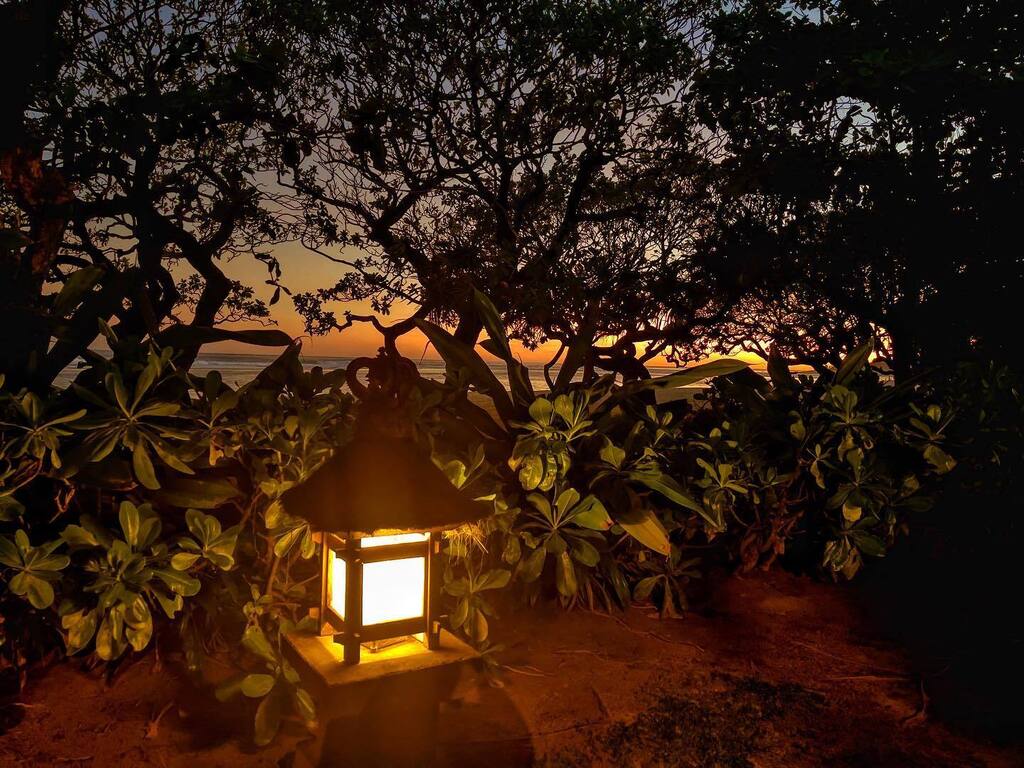 Seaside Sessions tweet media