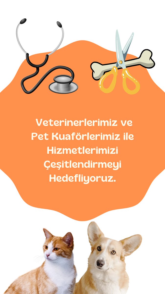 Pet Kids, kişiselleştirilmiş Pet Shop deneyimi ile patili dostlarınızın ihtiyaçlarını karşılamak için kurulmuştur. ‼️
Ürün ve hizmetlerimiz ile her daim yanınızda olmak ve sorumluluğunuzu paylaşmak için çeşitli özelliklerimiz ile farklı bir deneyim sunmayı hedeflemektedir. 🚀