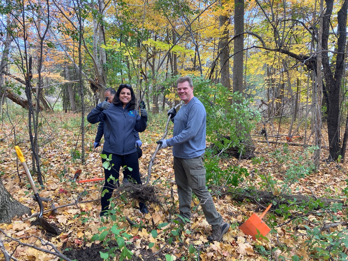 CVC_CA's tweet photo. Thanks to staff from @SysproCanada that helped us remove invasive species from Meadowvale Conservation in #Mississauga area on Tuesday! ๐ฟ We had a great time and got so much done with this small but mighty group ๐ช๐ณ #PlantTreesWithCVC https://t.co/EMps2Ej83t