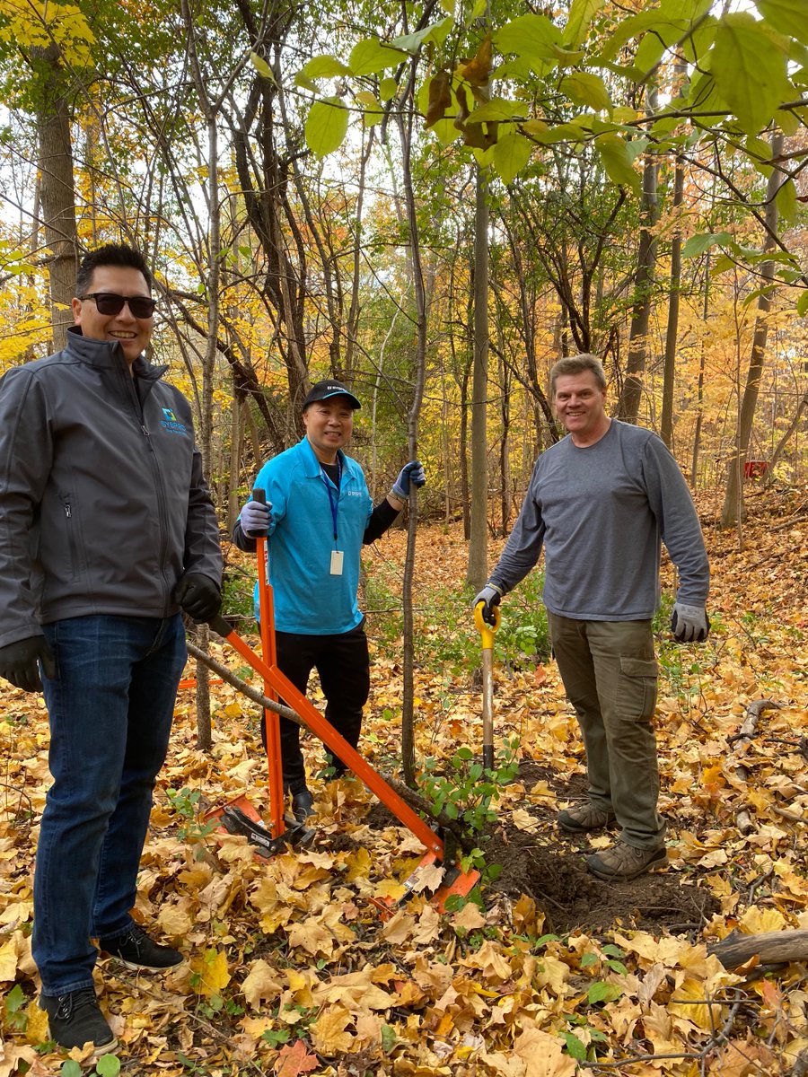 CVC_CA's tweet photo. Thanks to staff from @SysproCanada that helped us remove invasive species from Meadowvale Conservation in #Mississauga area on Tuesday! ๐ฟ We had a great time and got so much done with this small but mighty group ๐ช๐ณ #PlantTreesWithCVC https://t.co/EMps2Ej83t