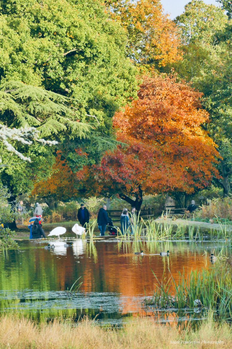 Autumnal splendour @ukphotoshow @UKphotogs @BBCMidlandsRBX