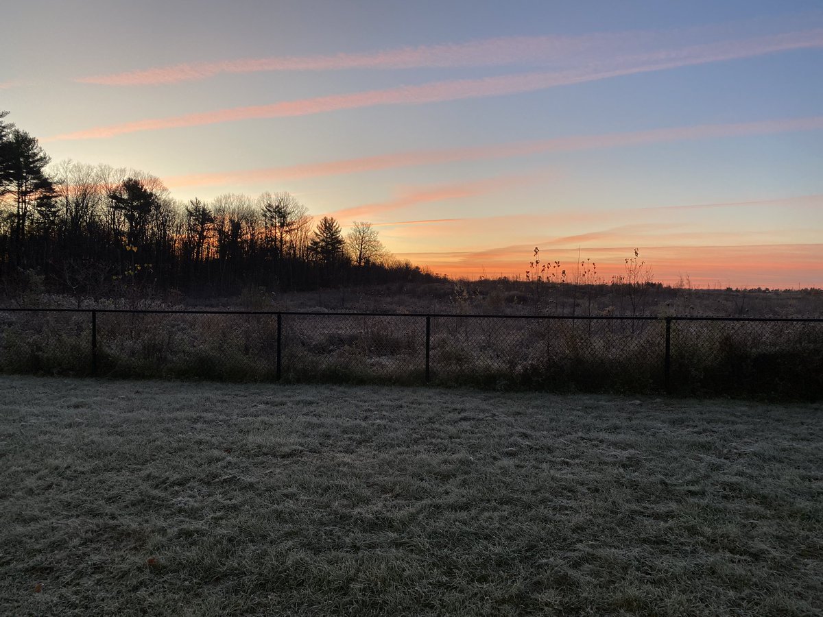 Shelagh Macdonald tweet media