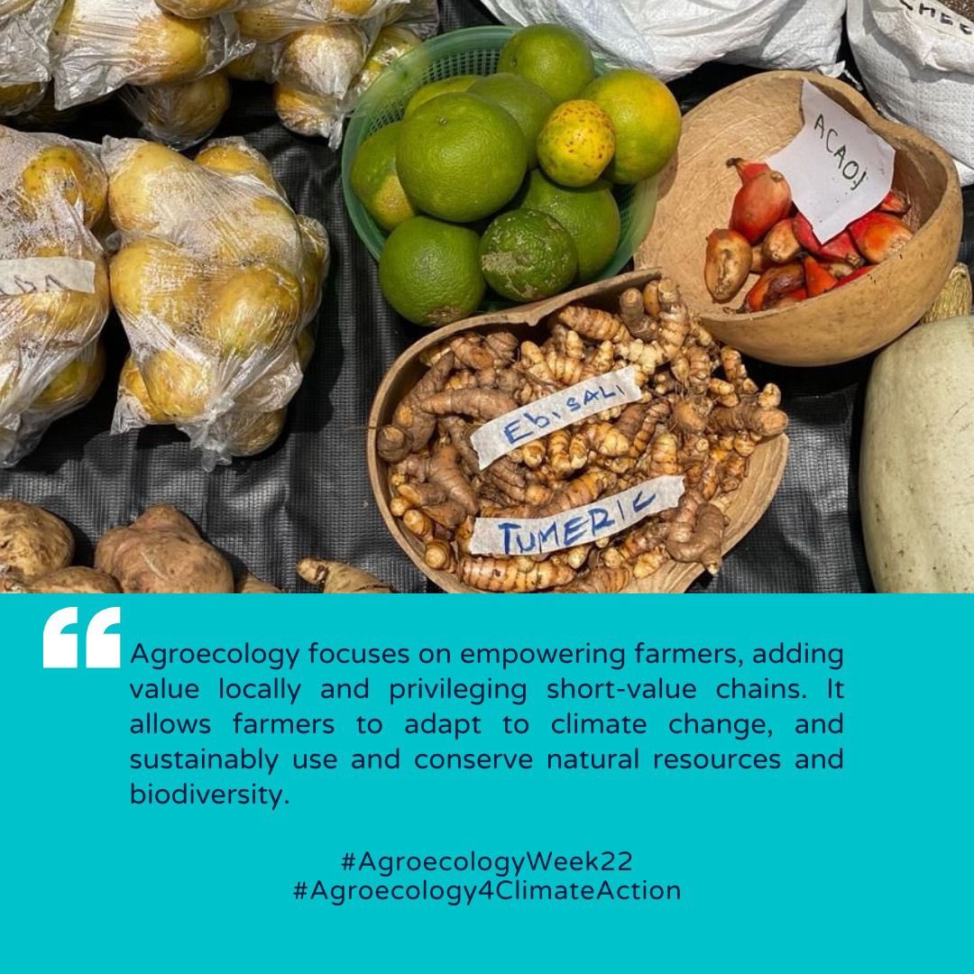 There are so many reasons why we need to embark on Agroecology, talk about empowering farmers, climate sustainability, conservation of natural resources among others. #pelumAgroecologyWeek22 #Agroecology4ClimateAction