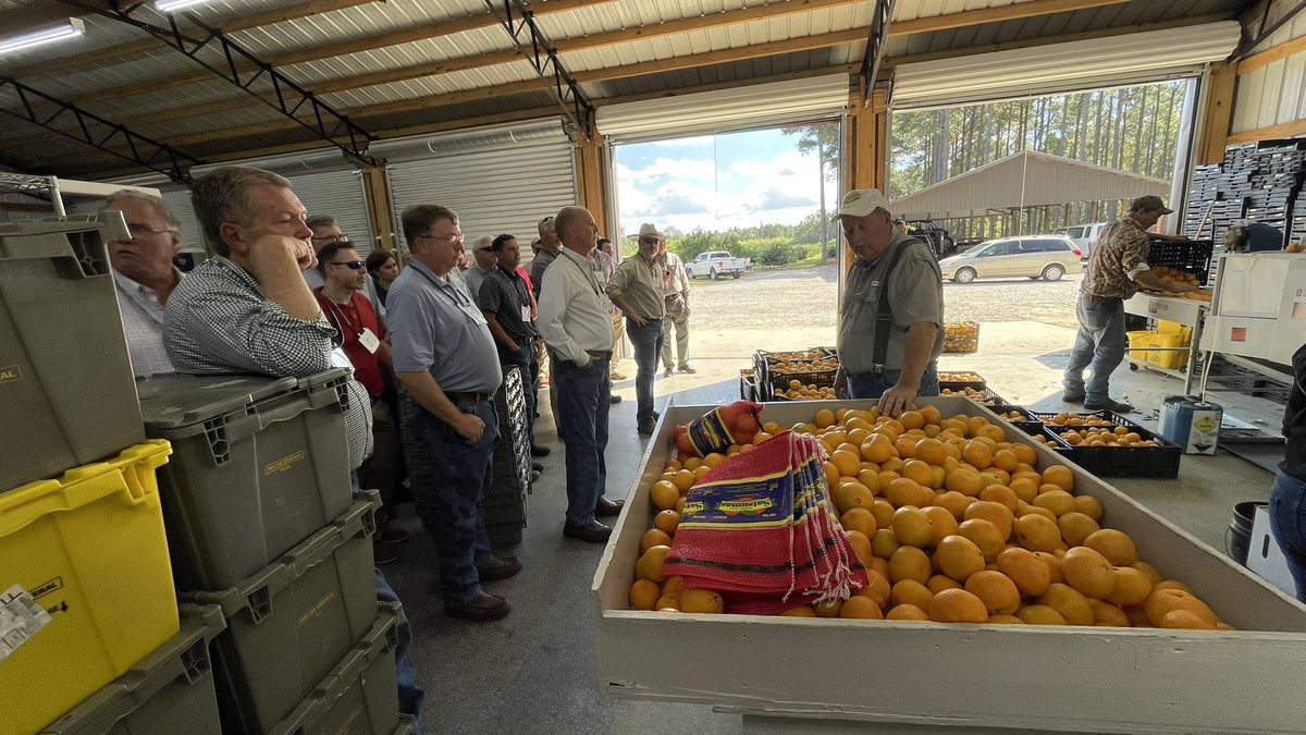 GABankers's tweet photo. Georgia’s top ag lenders have been on the road with us visiting some of Georgia’s amazing agribusinesses. Our quick tour took us to Franklin’s Citrus Farm near Statesboro, the @americold cold-storage facility near Pooler and the bustling @GaPorts Garden City terminal. https://t.co/65ezlP9Ztl