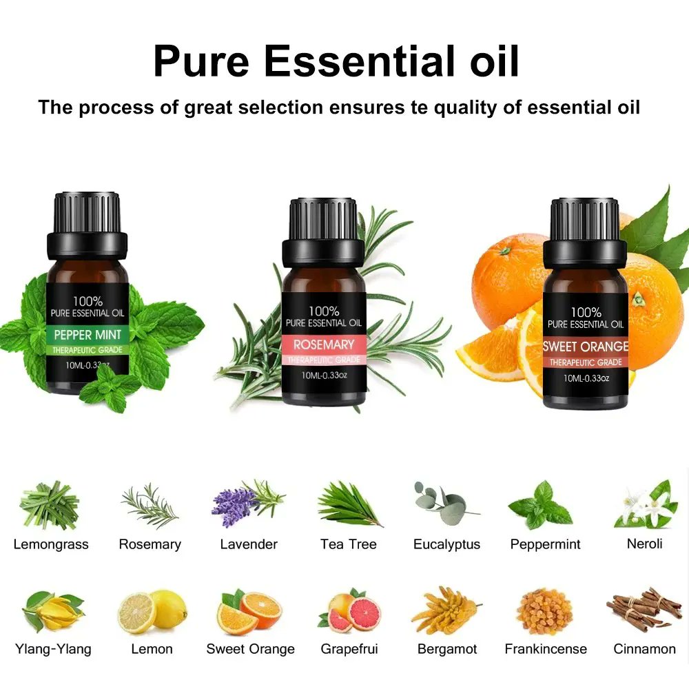 tech_access_dkr's tweet photo. HUILE ESSENTIELLE 
Pack de 12 variétés de senteurs 

❗️18000 CFA❗️

https://t.co/p2dDfDGGsk

Commandez directement sur le site Web ou contactez nous au 78140 44 44.

https://t.co/OELHC0khYB

#techaccess #dakar #Senegal #senteurs #huileessentielle https://t.co/2xOvEEccHX