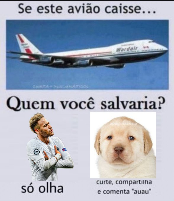 Página Séria. tweet media