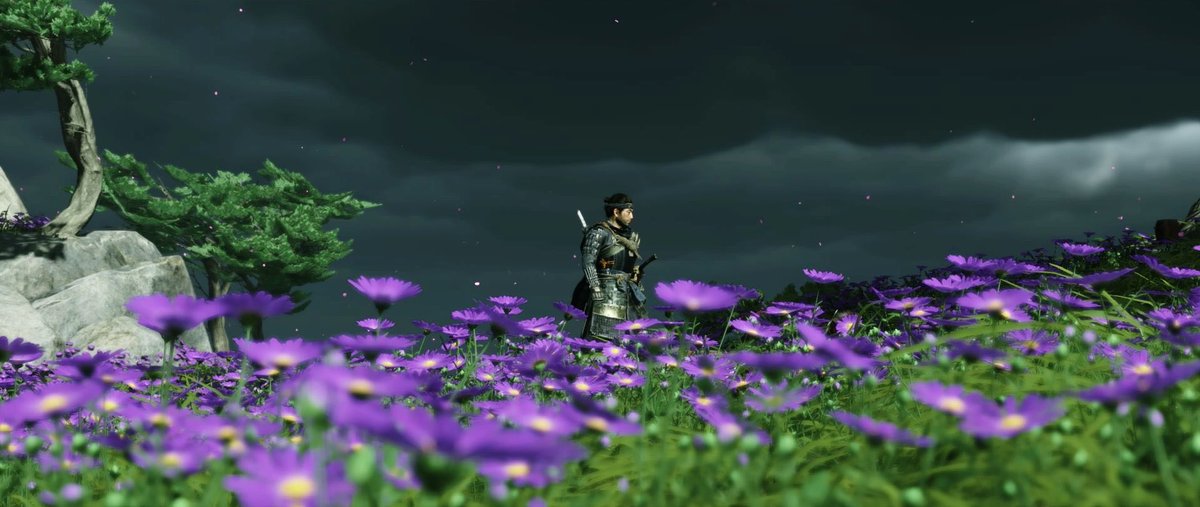 katyainiraj's tweet photo. Violet Chrysanthemums 💜

-Tap to view- 

#VirtualPhotography #VGPUnite #GhostOfTsushima https://t.co/XRXn1p4GBN