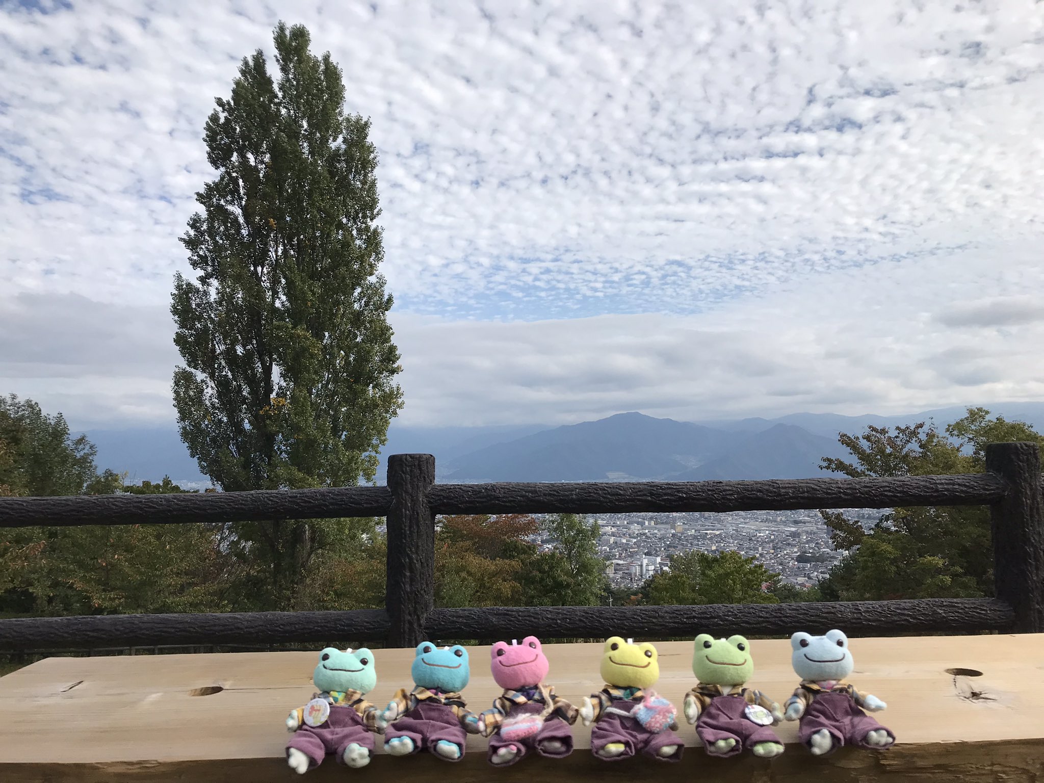 激レア 新品 ピクルス ザ フロッグ周年記念限定ピクルス付きプレミアムブック