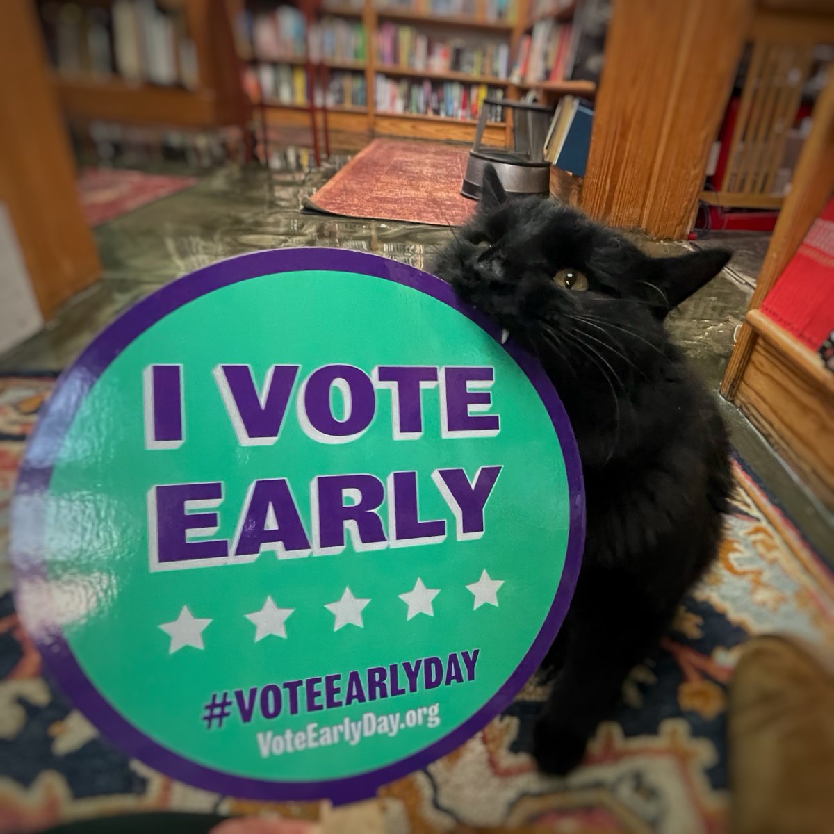 LeftBankBooks's tweet photo. Today is #VoteEarlyDay! Over 220 million Americans have the ability to vote ahead of Election Day by mail or in person. Join me in celebrating @VoteEarlyDay by finding out how you can vote early at https://t.co/PcdMsEdZO3
#leftbankbooks #literacyandjusticeforall #bookstorecats https://t.co/scFISBcDxP
