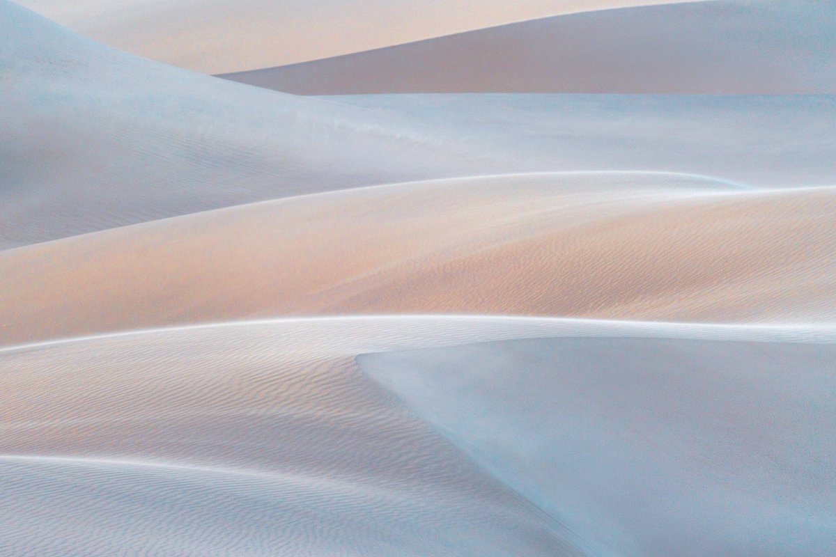 TarainAbstract's tweet photo. Gm

We love the dunes https://t.co/p7Dy3zCYQI