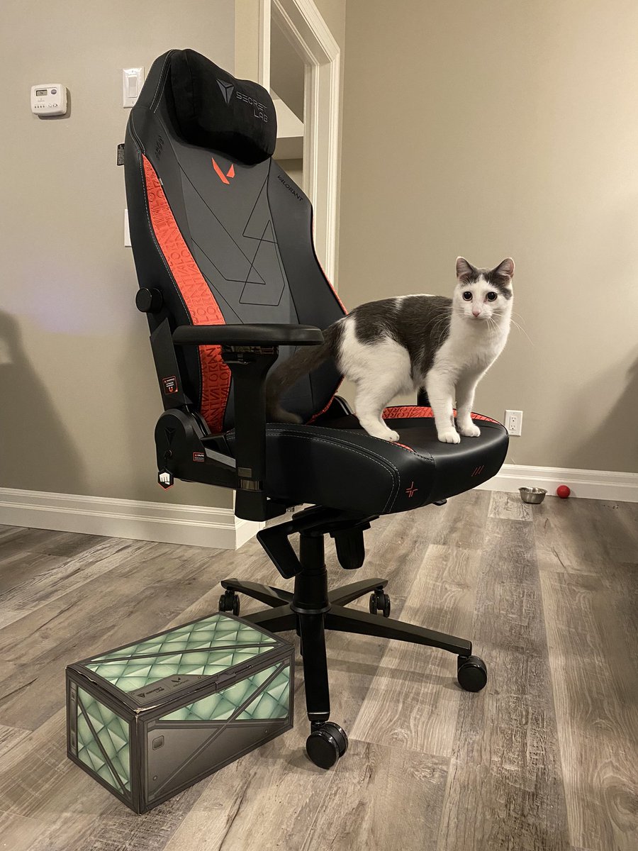 melanji's tweet image. im giving away one of the Secretlab TITAN Evo 2022 VALORANT Edition chairs :D (cat not included)

to enter:
- follow me, @C9VAL and @secretlabchairs
- RT this tweet
- reply with your favorite VALORANT agent

#Secretlab #VALORANT c9.gg/sl-val-mel