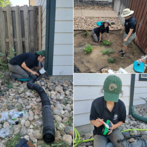 Tweet by Colorado State University