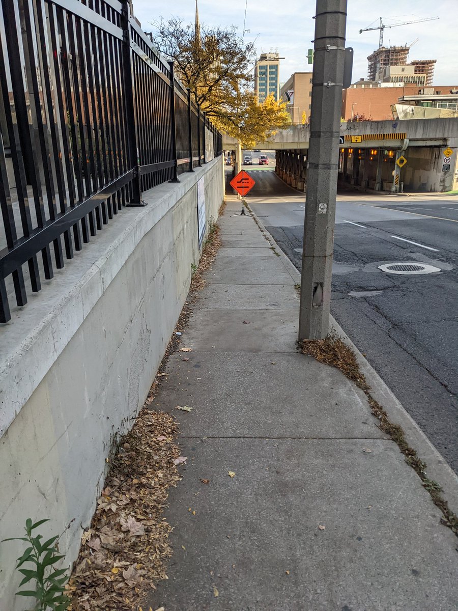 anton lodder tweet media