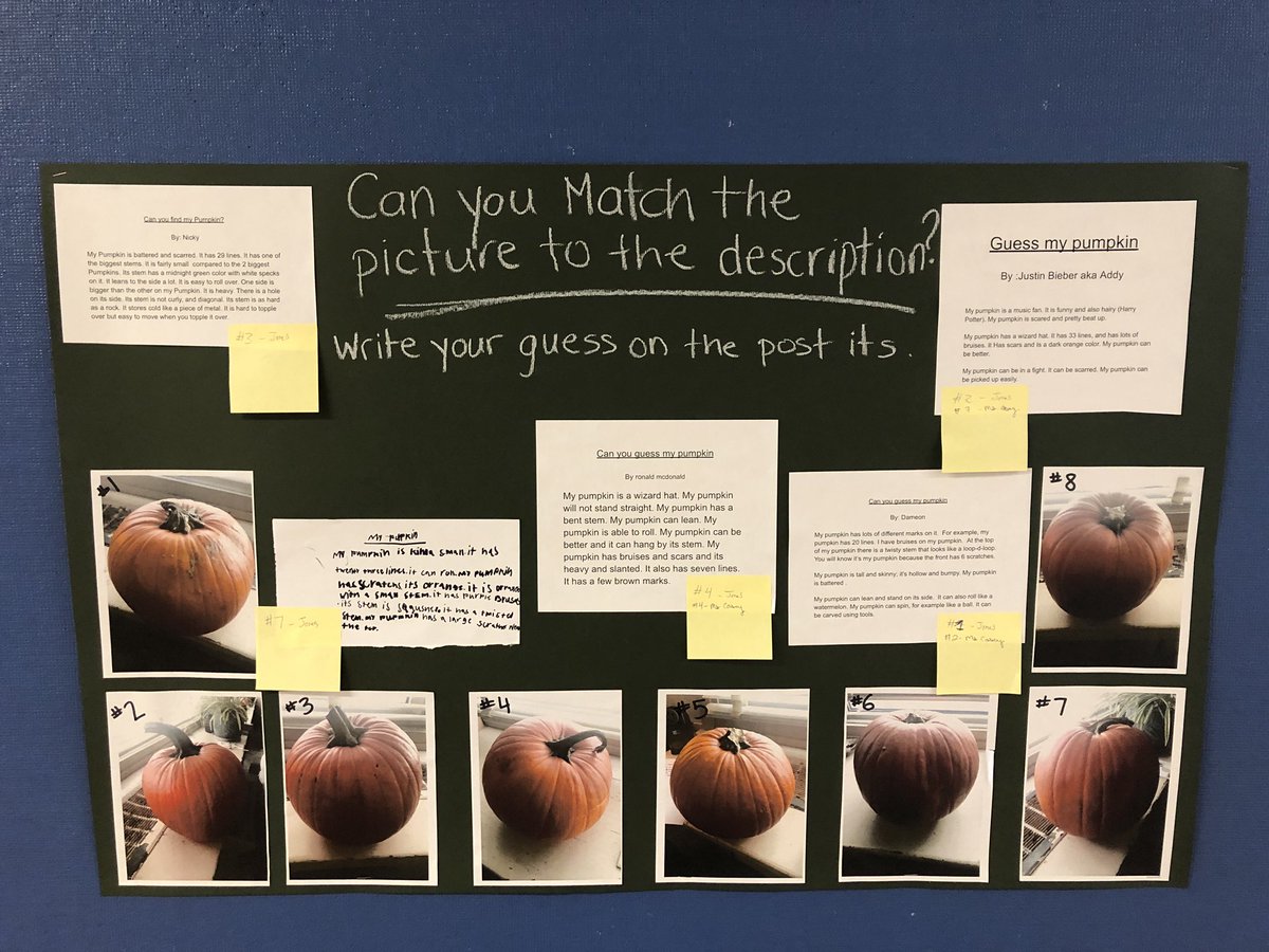 Students in Room 11 wrote descriptions of their pumpkins and challenged the rest of the school to Find their pumpkin by matching descriptions to photos.