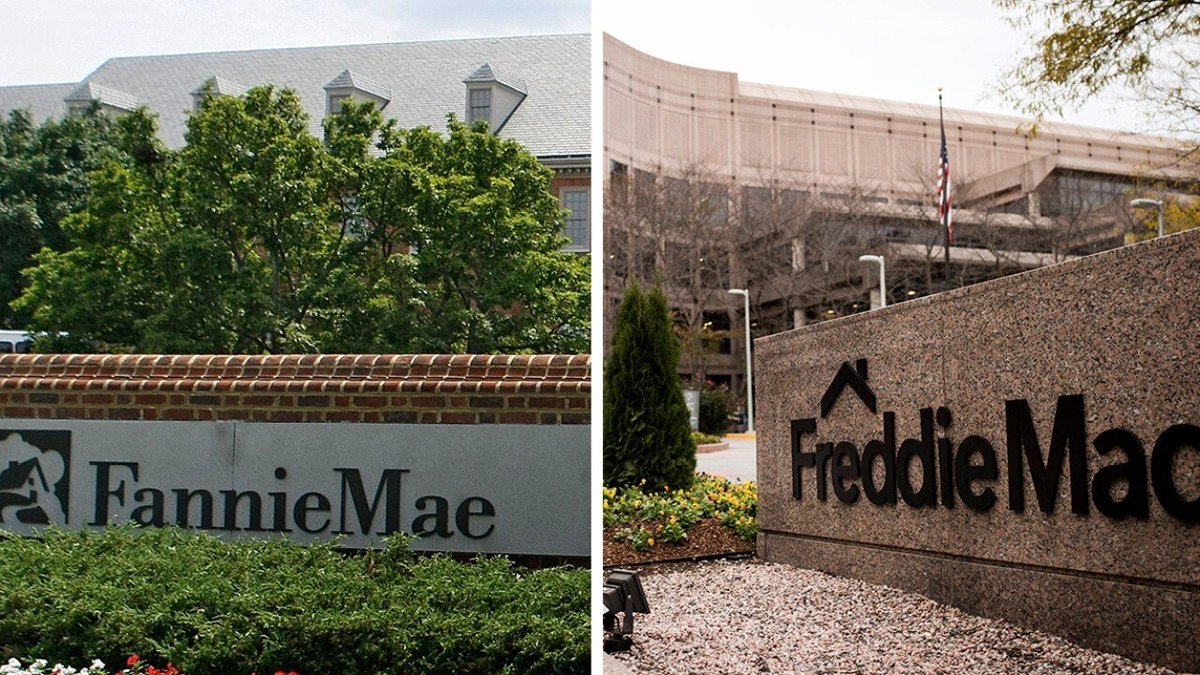martocapital's tweet photo. Will FNMA And FMCC Bring Extraordinary Returns To Investors This Summer? Article 👇 https://t.co/g4edE0GwnO

 #katinastefanova #aricle #FNMA #FMCC #returns #investors #investing #InvestmentNews https://t.co/bCkMi1UtKJ