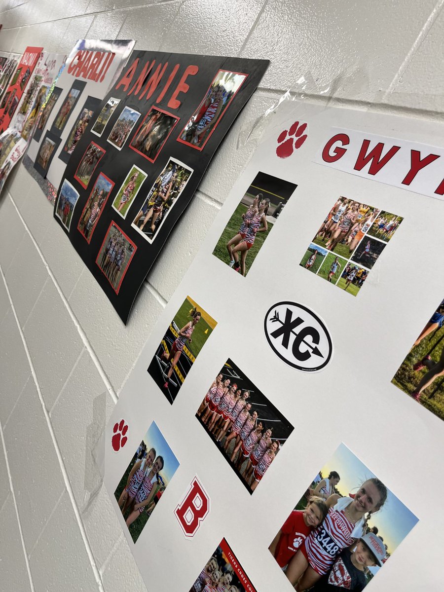 Beechwood Principal tweet media