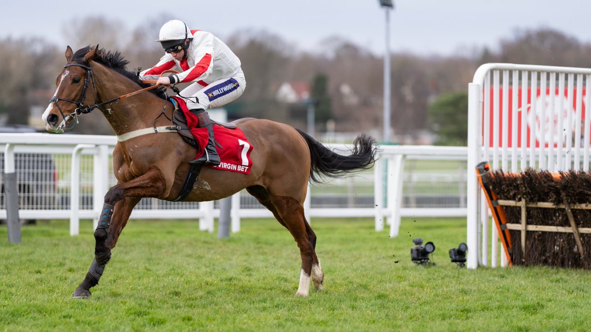 Road To Cheltenham tweet media