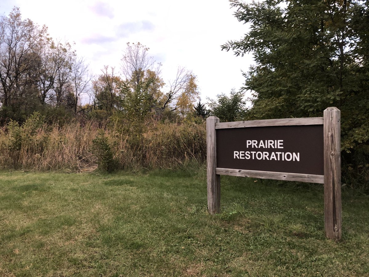 Cultural_Chron's tweet image. A trip to #RockCutStatePark outside Rockford, IL is a lovely escape to hikes, canoeing, and a different terrain to most of Illinois. 

theculturalchronicles.com/2022/10/28/sta…