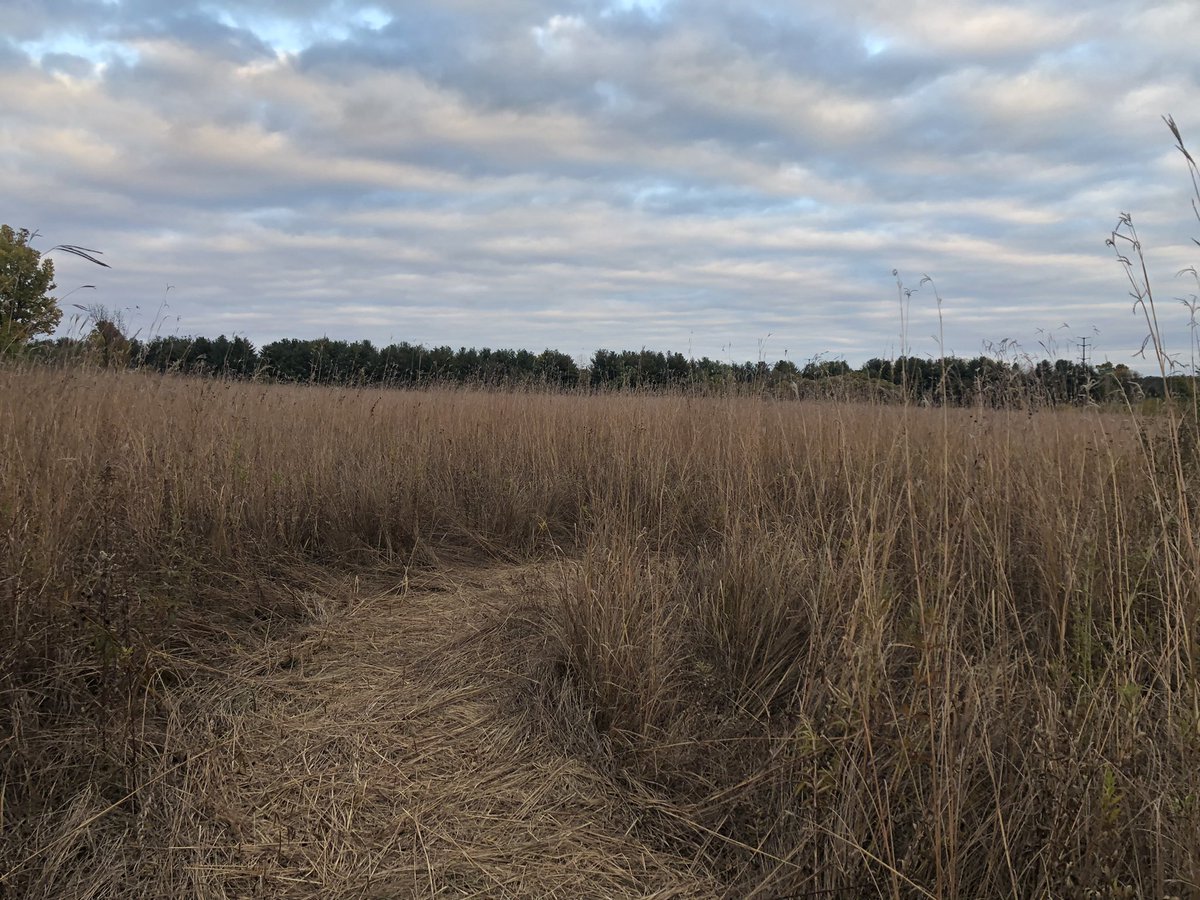Cultural_Chron's tweet image. A trip to #RockCutStatePark outside Rockford, IL is a lovely escape to hikes, canoeing, and a different terrain to most of Illinois. 

theculturalchronicles.com/2022/10/28/sta…