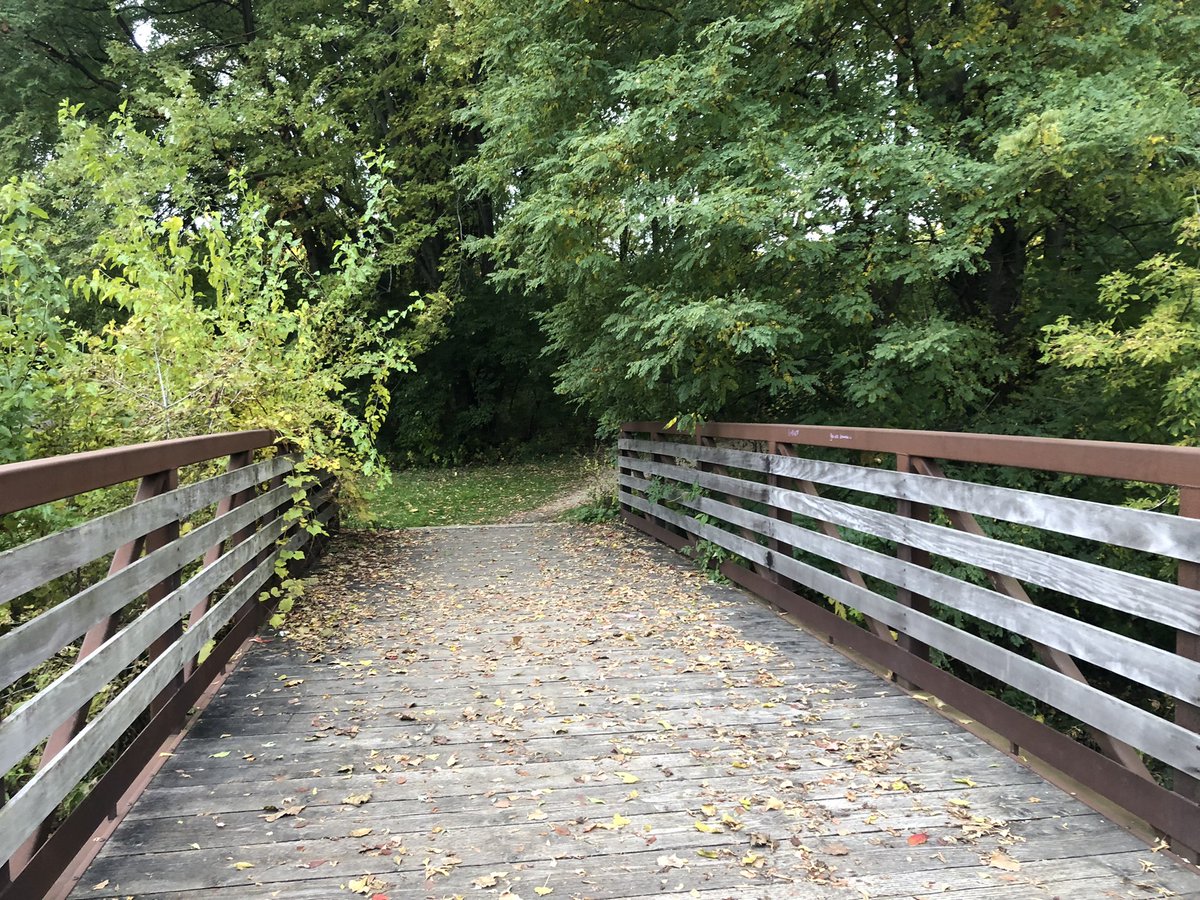 Cultural_Chron's tweet image. A trip to #RockCutStatePark outside Rockford, IL is a lovely escape to hikes, canoeing, and a different terrain to most of Illinois. 

theculturalchronicles.com/2022/10/28/sta…