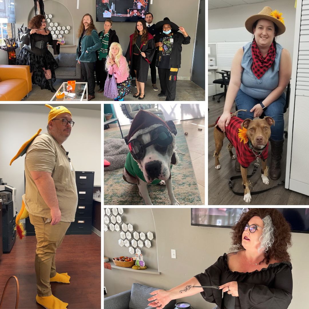 CGT_Global's tweet image. Things are starting to get 🎃𝓢𝓟𝓞𝓞𝓚𝓨🎃 at our collection centers!

Which costume is your favorite? Tell us below! 👇

#Halloween #StemExpress #HalloweenCostumes #Spooky  #BeABloodDonor #DonateBlood