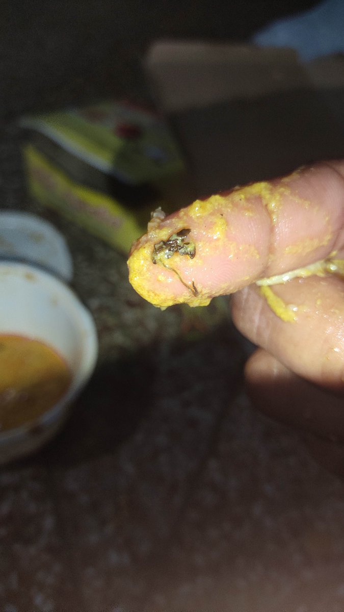 mesouravb's tweet photo. Ordered from Zomato and received inspects in one dish and hairs in another
#unhygenic #harrasment #fraud

@fssaiindia @ConsumerReports @CES @wbdhfw 
@zomato 
 @zomatocare 
 @ZomatoProHelp https://t.co/XzzPgIhfdM