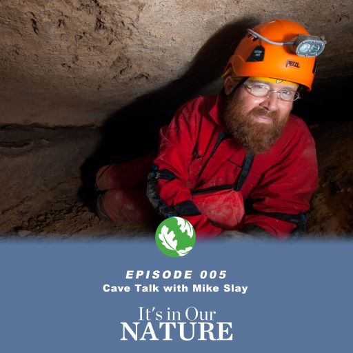 Bats on the brain this Halloween? 🦇 Head down into Missouri’s caves with The Nature Conservancy’s Mike Slay on our podcast It’s in Our Nature to learn more about the critters he meets in the dark. 

Cave Talk with Mike Slay 🎙 nature.ly/3NkYCVV