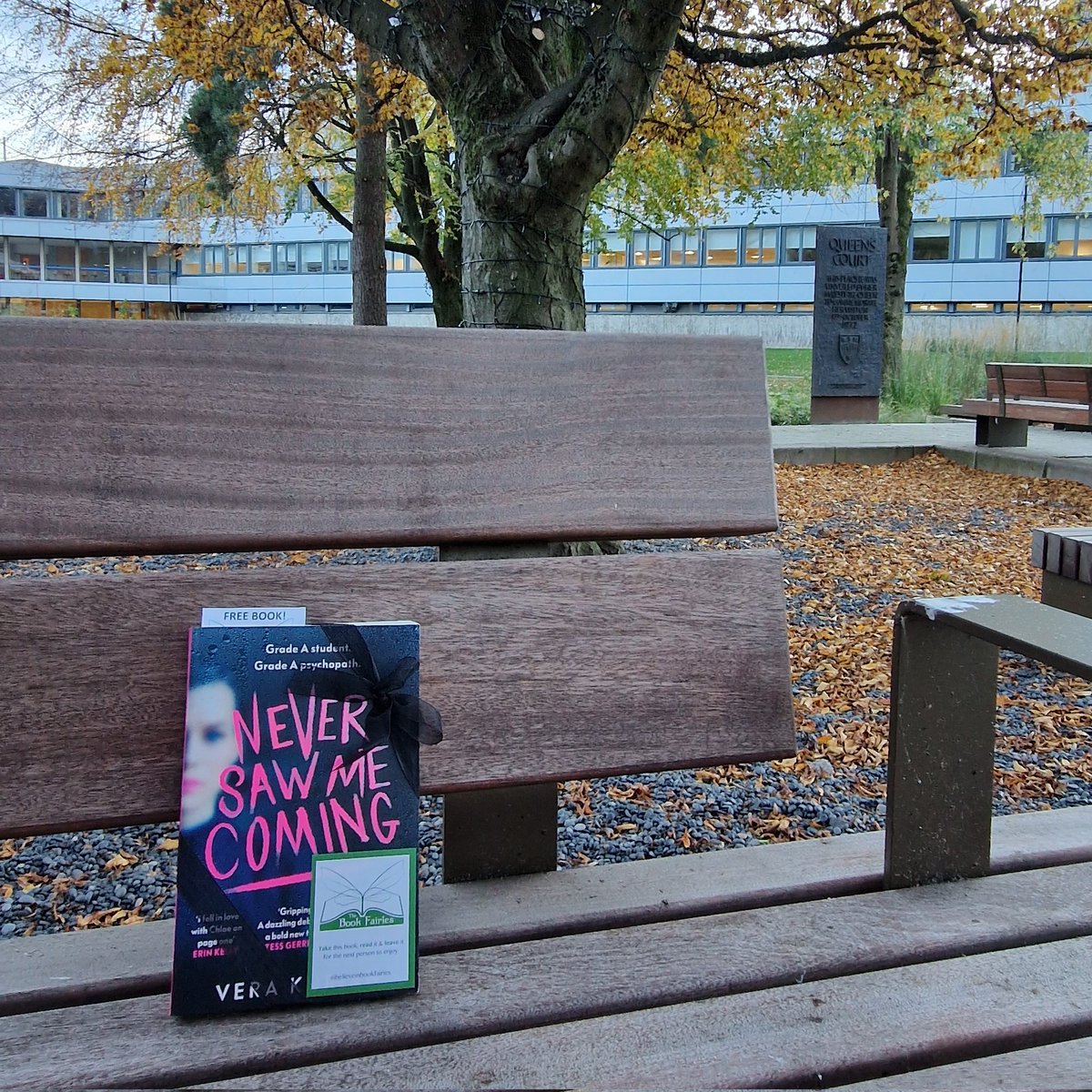 “In real life, we don't get to edit out the painful parts.” A book fairy has left a copy of Never Saw Me Coming by Vera Kurian for a lucky finder this spooky season. #ibelieveinbookfairies #TheBookScaries #ScaryBooks #Halloween
#HalloweenBook #NeverSawMeComing #TBFVintage