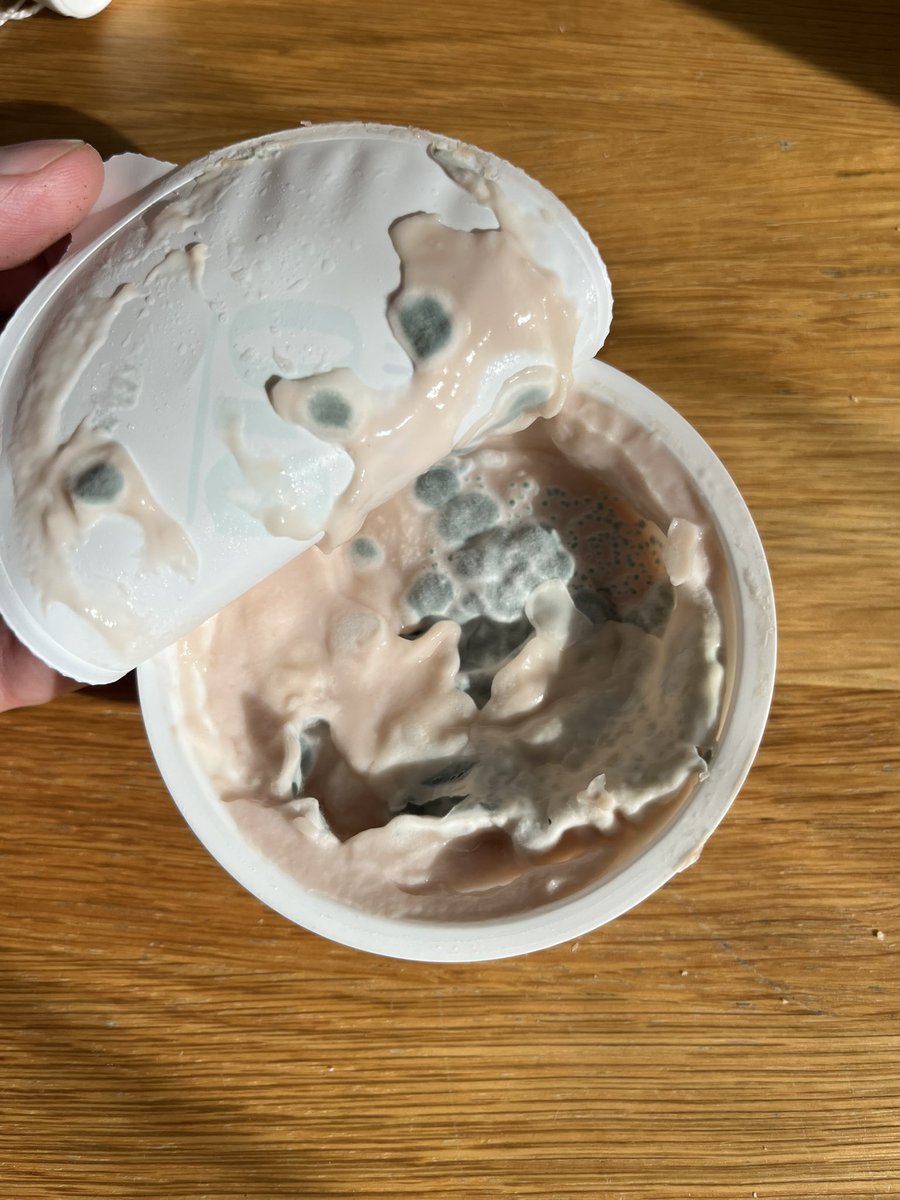 NoridaChin's tweet photo. @ULesCommercants J’ai ouvert un yaourt bio pour mon fils, acheté il y a quelques jours à Vaucresson. Voilà ce que j’ai trouvé. C’est à vomir et me fait me poser des questions sur les process sanitaires de vos produits… @Anses_fr @dgccrf @60millions #bebe #yaourt #bio #sante https://t.co/XLIp1kAwy5