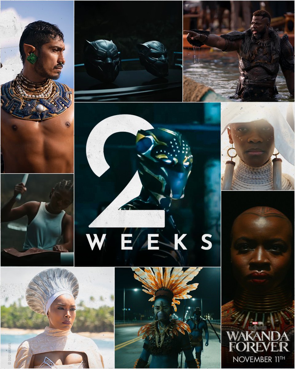 In 2 weeks, return to Wakanda and witness the legacy of our King 👑 Marvel Studios' Black Panther: #WakandaForever only in cinemas November 11. Book your tickets here: BMS: bit.ly/BMS_WakandaFor… Paytm: bit.ly/paytm_WakandaF…