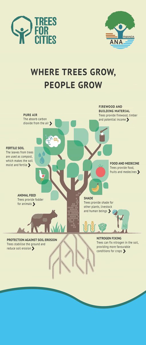 Tree is life