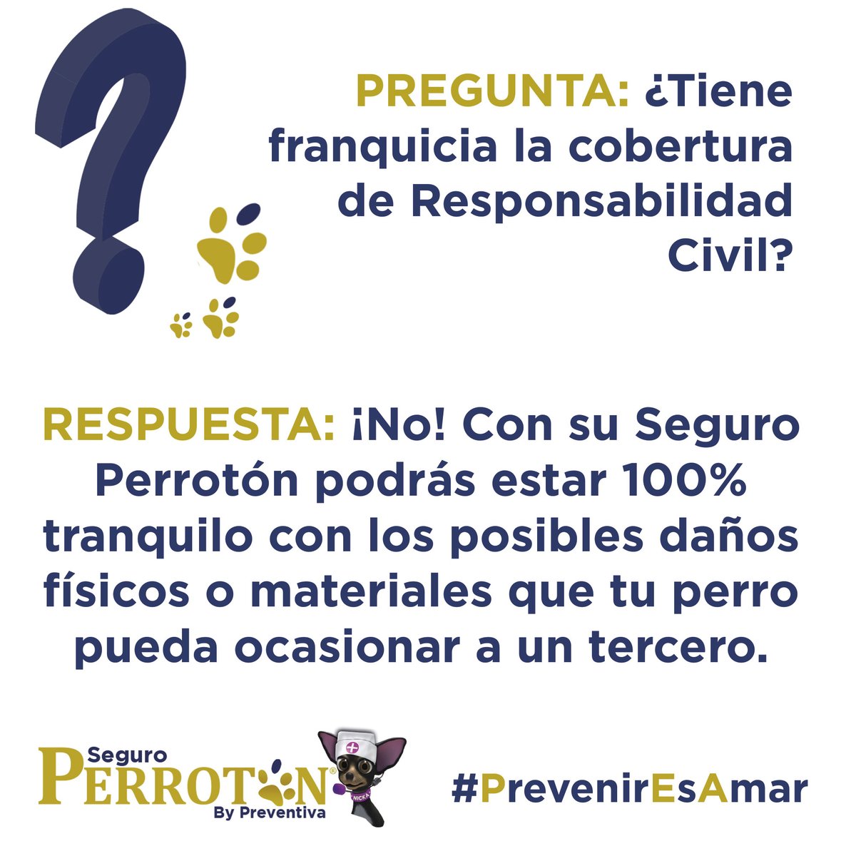 SeguroPerroton's tweet photo. Con su Seguro Perrotón tendrás la tranquilidad de que, ante cualquier accidente en el que tu perro ocasione un daño físico o material, su póliza os protegerá 🐶🛡

En un descuido, pueden ocurrir muchas cosas; una caída de una ciclista, un accidente de coche... 💥

Protégelo 🐕❤️ https://t.co/s9mv3EjiAW