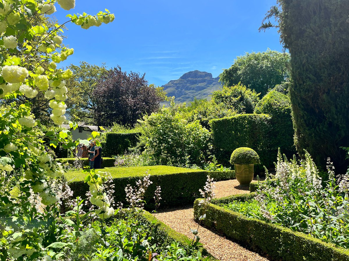 lizlmari's tweet photo. Finishing my week off in a spectacular garden! #rustenberg #opengarden #gardenweek #nature #stellenbosch #stellenboschgardenweek https://t.co/TiyFdF1I2j