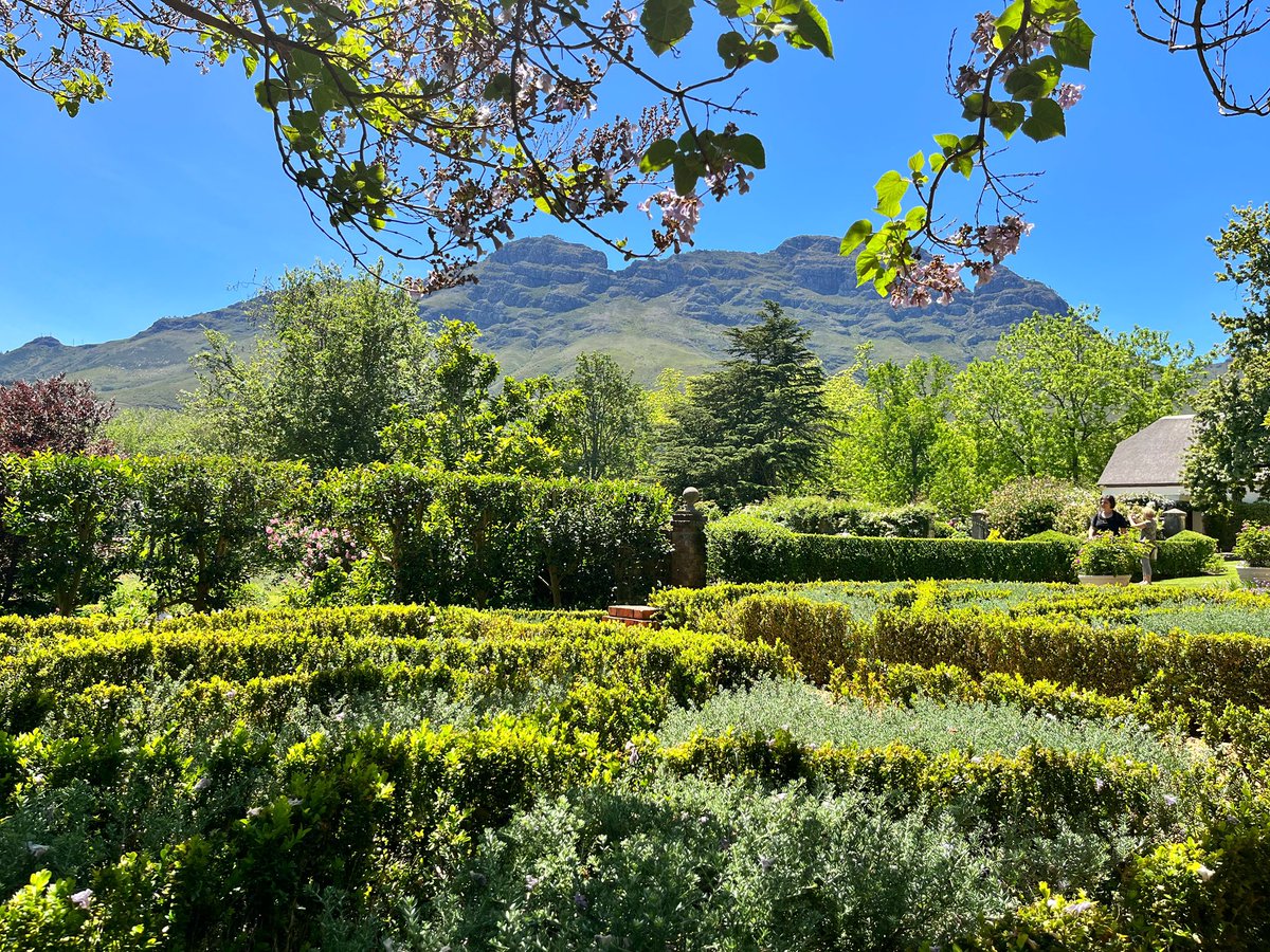 lizlmari's tweet photo. Finishing my week off in a spectacular garden! #rustenberg #opengarden #gardenweek #nature #stellenbosch #stellenboschgardenweek https://t.co/TiyFdF1I2j