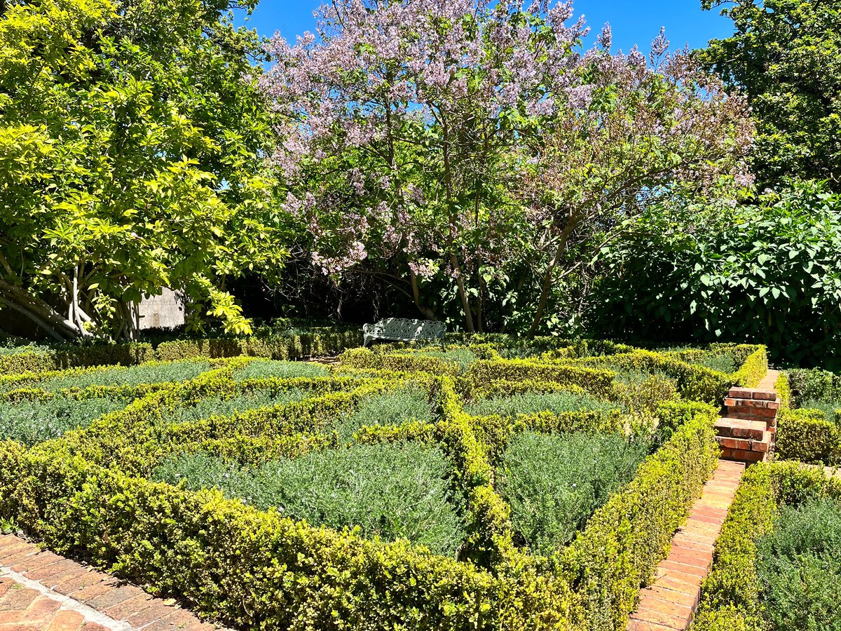 lizlmari's tweet photo. Finishing my week off in a spectacular garden! #rustenberg #opengarden #gardenweek #nature #stellenbosch #stellenboschgardenweek https://t.co/TiyFdF1I2j