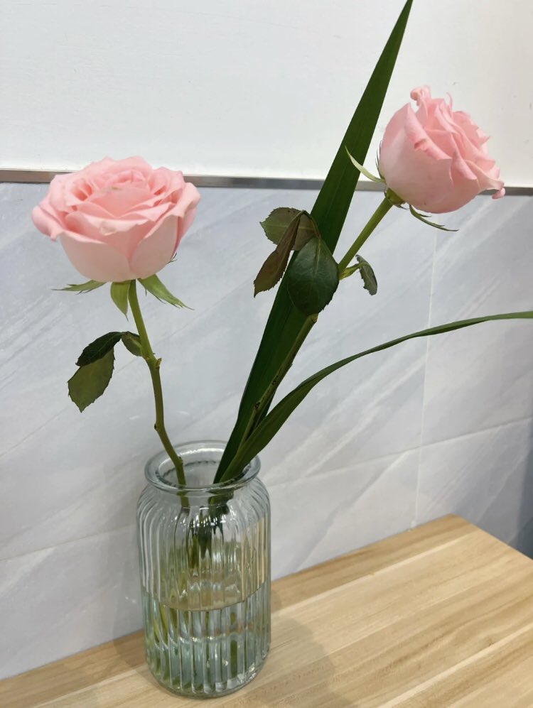 看见🌸心情就好