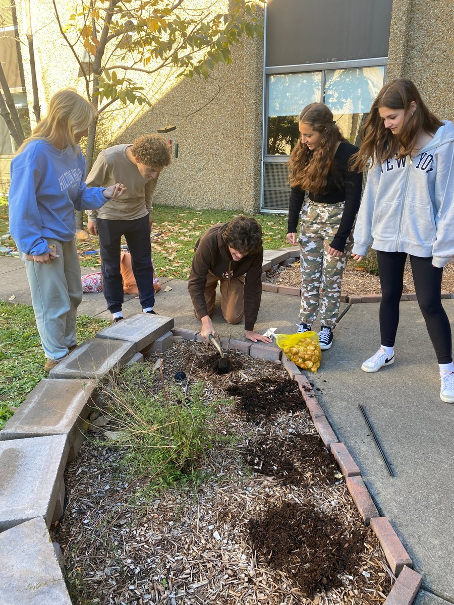 VTHSVikings's tweet photo. The Key Club planted tulips bulbs in the center courtyard, promising a colorful Spring. We are so lucky to learn in such beautiful and natural surroundings Thanks to the Key Club for enhancing our environment. #WeAreVTHS #VikingPride #VikingValues https://t.co/puEmvGUG4J