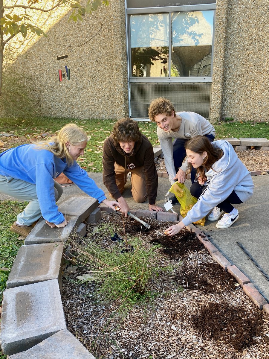 VTHSVikings's tweet photo. The Key Club planted tulips bulbs in the center courtyard, promising a colorful Spring. We are so lucky to learn in such beautiful and natural surroundings Thanks to the Key Club for enhancing our environment. #WeAreVTHS #VikingPride #VikingValues https://t.co/puEmvGUG4J