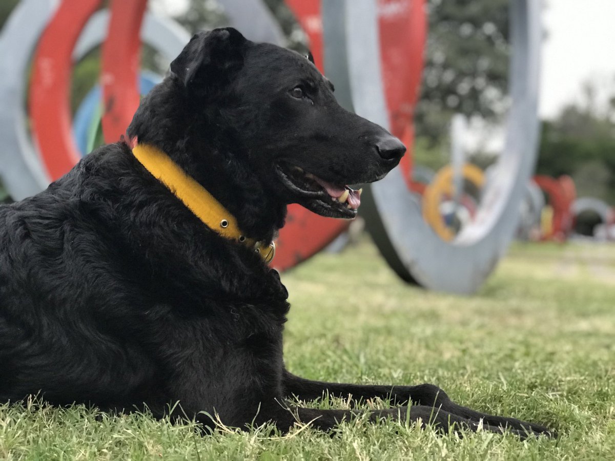 Gaston Fuensalida ⭐️⭐️⭐️ tweet media