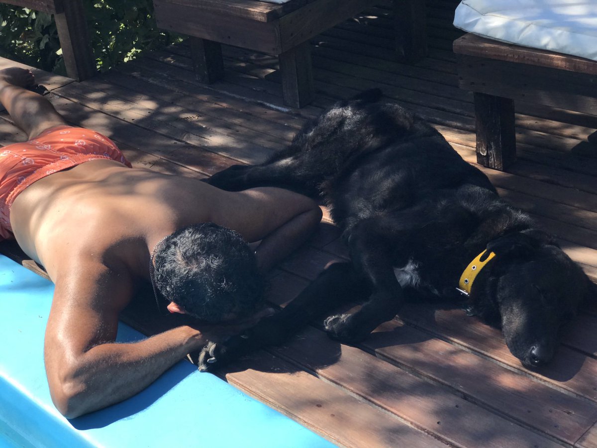 Gaston Fuensalida ⭐️⭐️⭐️ tweet media