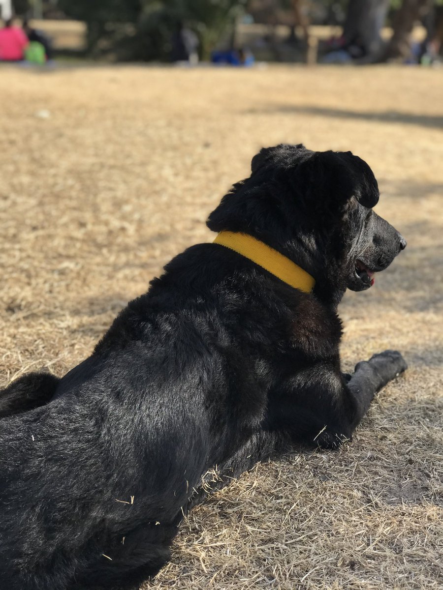 Gaston Fuensalida ⭐️⭐️⭐️ tweet media