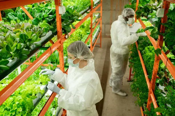 Hellenic_Group's tweet photo. Controlled #environment #agriculture (#CEA), commonly known as #VerticalFarming makes use of structures to grow #crops vertically in indoor facilities.
#FridayFarming #Technology #Innovation
https://t.co/HoV9BX6urF https://t.co/0tqurBx5XC