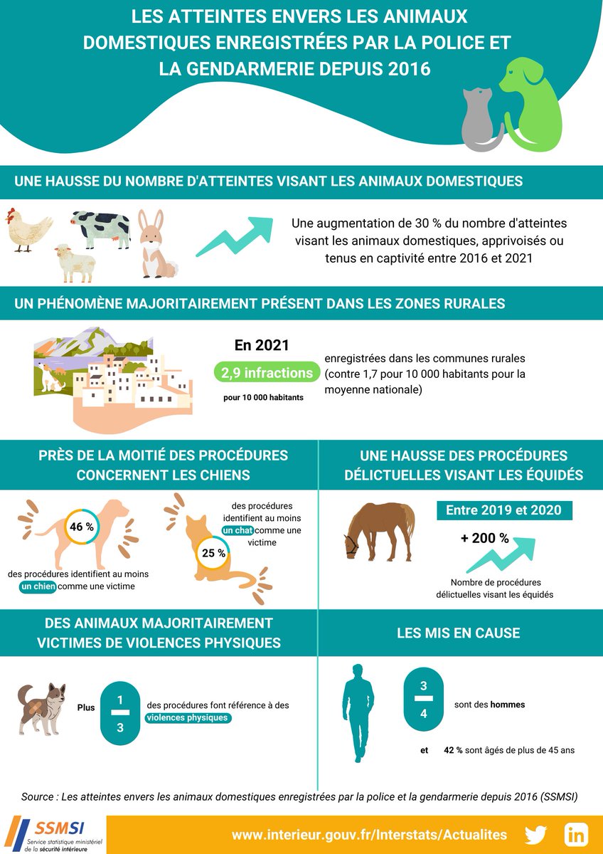 Interieur_stats's tweet photo. C'est inédit ! Le SSMSI publie pour la première fois une étude sur les #animaux domestiques.

⏪ Retour les éléments clés de cette nouvelle publication 👇 https://t.co/ndYbnKvx23