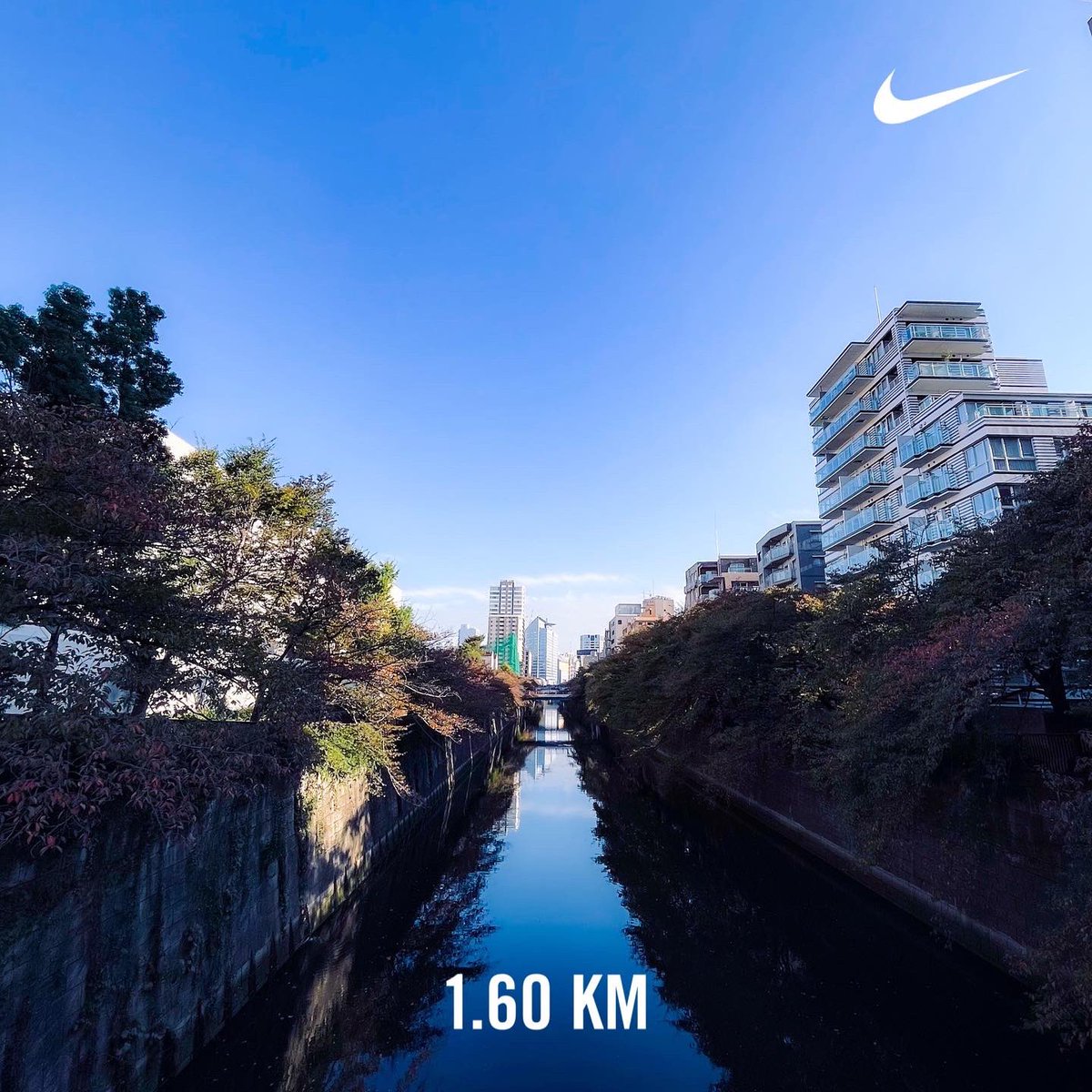 noringod's tweet photo. 🍎
#run #nikeplus #yummy #tokyosweets #viennoiserie #danish #フルーツデニッシュ #steambread #モンブラン #パン #食パン #東京グルメ #東京スイーツ #川 #空 #青空 #風景 #リフレクション #ライブラン #ジョギング #ランニング #ランニング女子 https://t.co/9n2ag9Sl5z