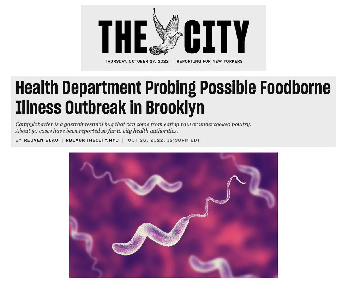 Infectious disease outbreak tied to #kaporos should be warning to <a href="/DrMaryTBassett/">Dr. Mary T. Bassett</a> &amp; <a href="/nycHealthy/">nychealthy</a> that allowing pop-up slaughterhouses on public streets and 100K+ people to handle live birds jeopardizes the public health. Campylobacter now. #avianflu later? thecity.nyc/health/2022/10…