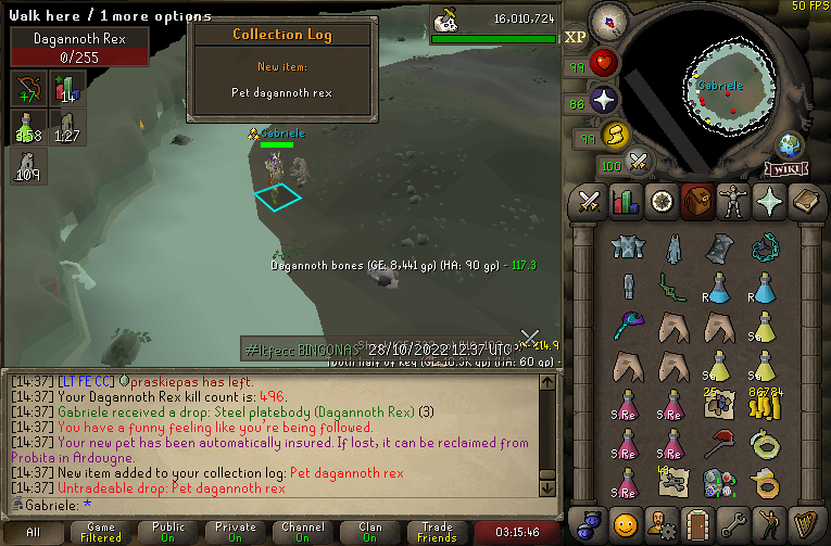 GabrieleOSRS's tweet photo. Went for rings during a Bingo event. Got a pet instead ❤️
10/51 https://t.co/OJjauXZBV5