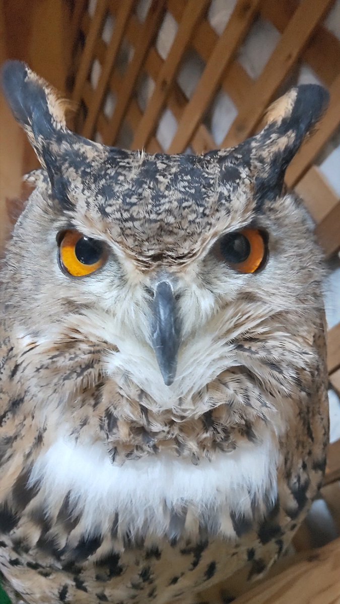 ただいま～。ご飯持ってくるから、もう少し待っててね