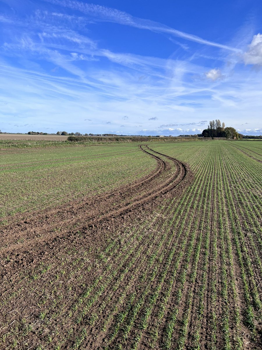 The 'Cockwombles' out in full force last night, welcome to the lawless countryside.🤬